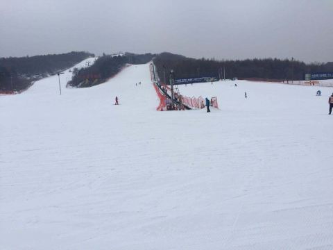 【沈阳东北亚滑雪场介绍】沈阳东北亚滑雪场好玩吗_沈阳东北亚滑雪场有什么好玩的_114票务百家乐- 百家乐官方网站- 百家乐在线- Baccarat Online网