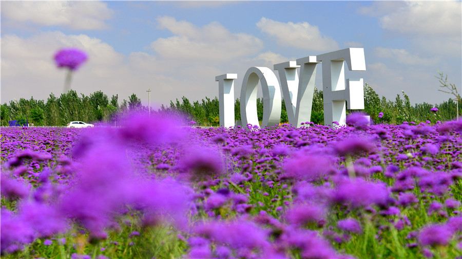 腾格里金沙岛旅游区