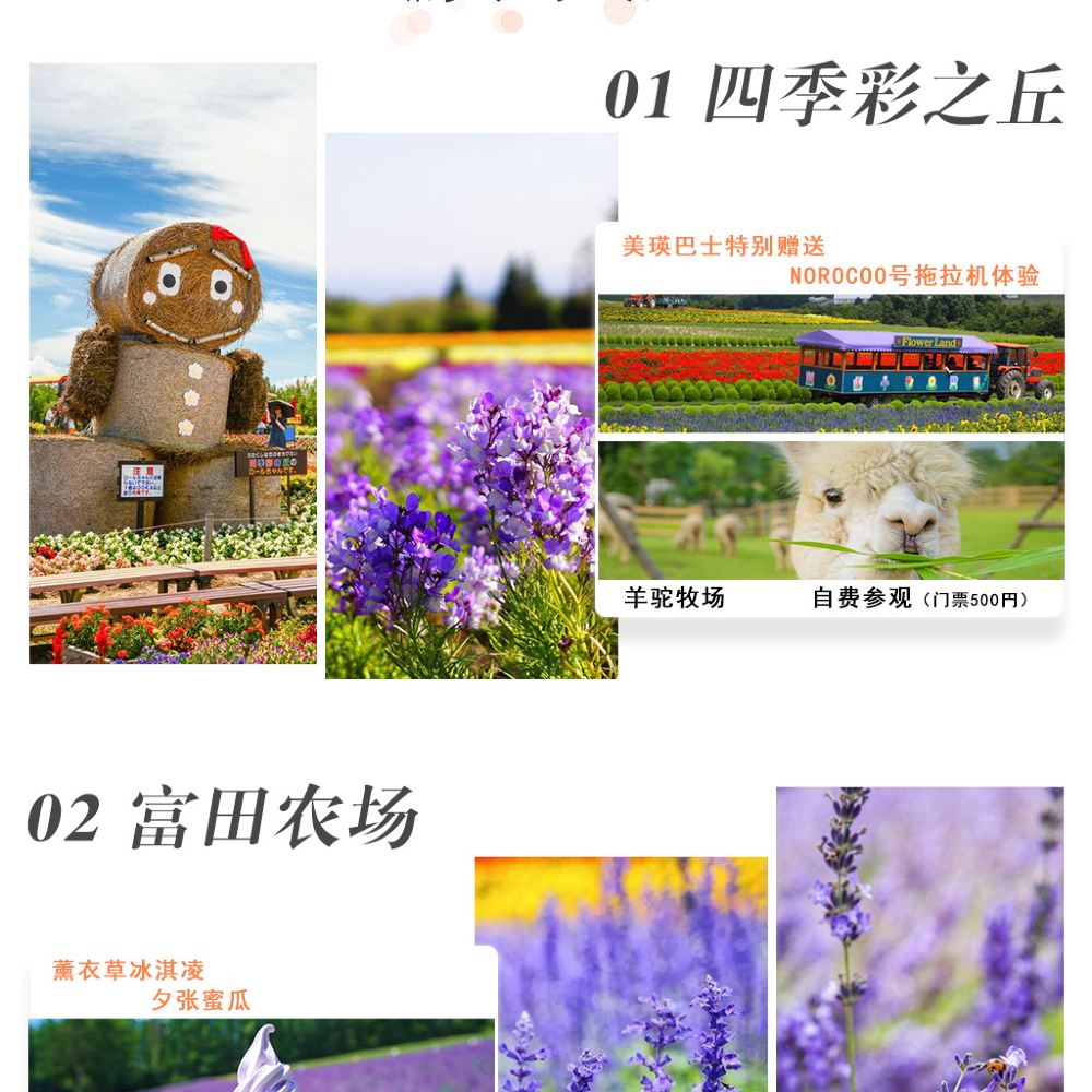 日本北海道花海 云霄飞车之路 白金青池 四季彩之丘 富田农场一日游 日式午餐 中文服务酒店接送 1人成团 线路推荐 携程玩乐 日本北海道花海 云霄飞车之路 白金青池 四季彩之丘 富田农场一日游 日式午餐 中文服务酒店接送 1人成团 线路推荐 携程玩乐