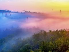 周末去哪儿？带着萌娃游安吉！