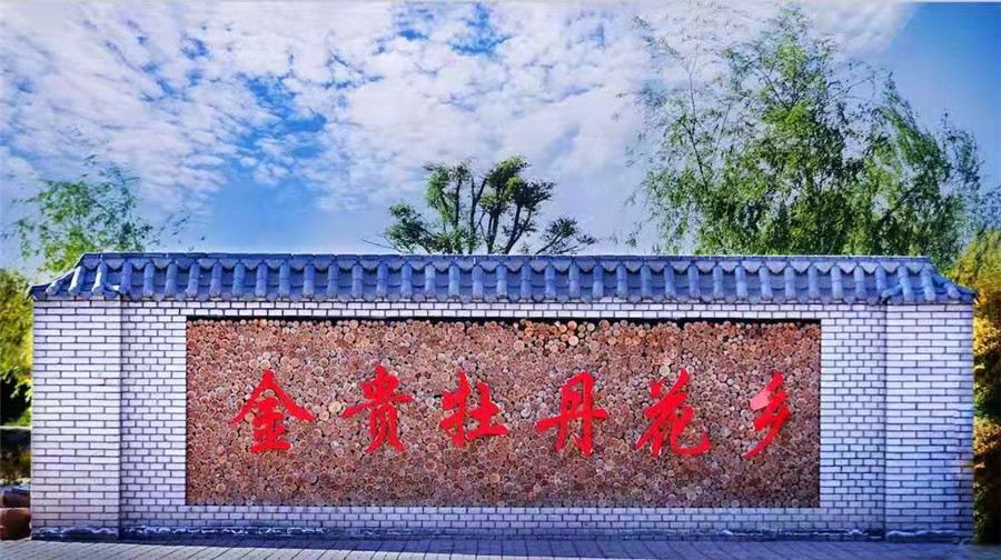 金贵牡丹花乡