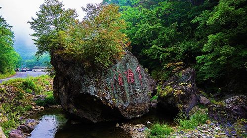 丹东青山沟一日游 飞瀑涧景区 虎塘沟景区赏辽宁第一瀑布 山水观景 森林中漫步 线路推荐 携程玩乐