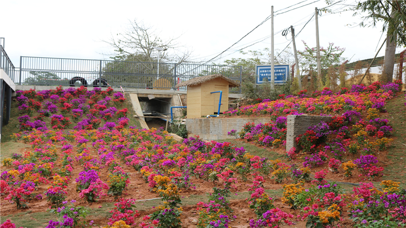 花为你开旅游度假区