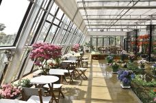 山茶花之丘-西归浦市