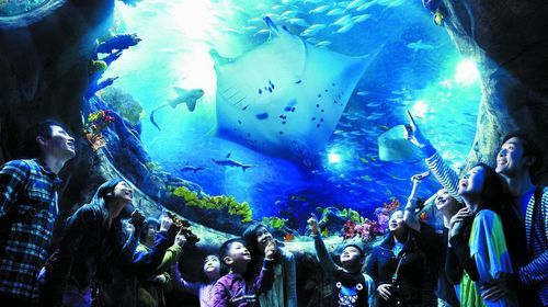 港珠澳大桥珠海跨境巴士直达香港海洋公园 含