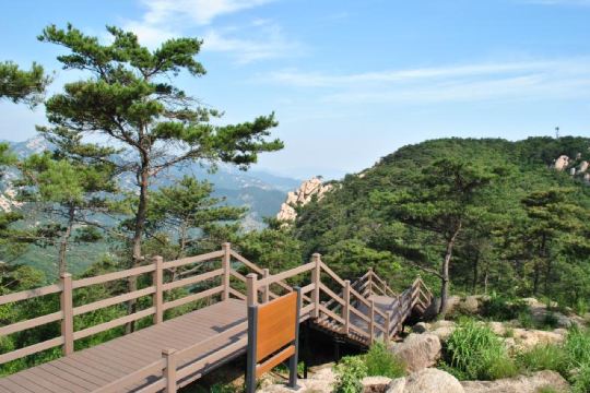 临沂沂蒙山云蒙景区蒙山国家森林公园一日游尽享天然氧吧