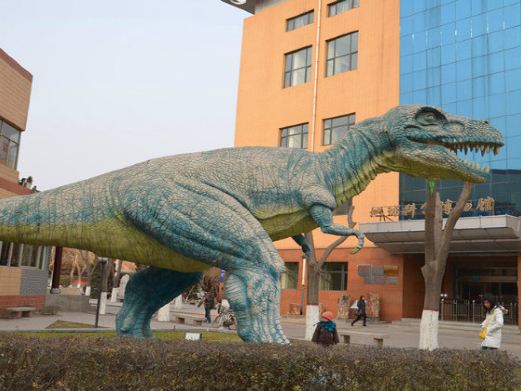 河北地质大学地球科学博物馆