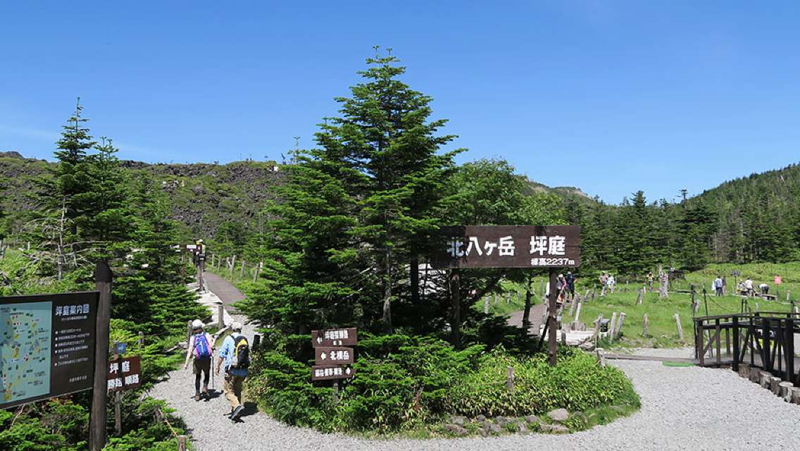 Trip.com 探索日本中部:酒店即減$400+行程/玩樂額外92折優惠碼:第8張圖片
