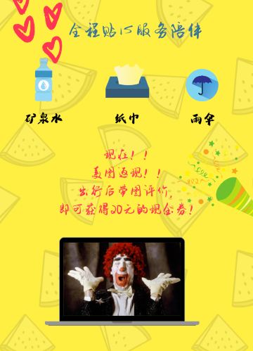 荷兰小孩堤防风车村+鹿特丹+海牙一日游【暑
