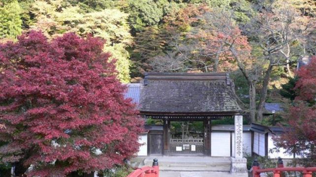 日本一日游 室生寺 长谷寺 谈山神社奈良红叶美景乘列车前往 近铁名古屋站出发 线路推荐 携程玩乐