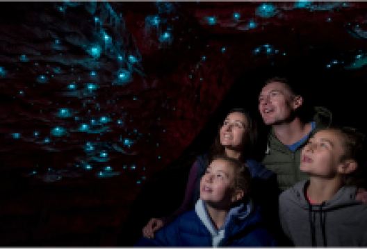 蒂阿瑙萤火虫洞景点图片