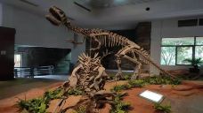 自贡恐龙博物馆-自贡