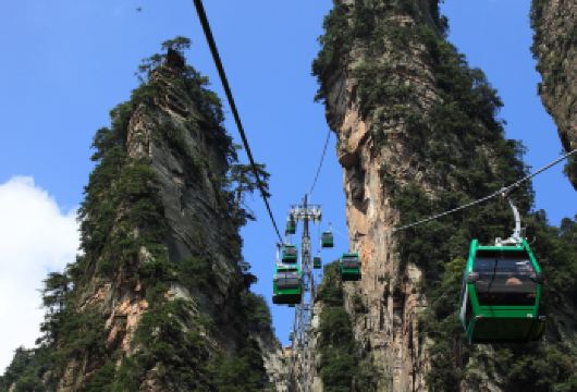 张家界国家森林公园+黄石寨+袁家界一日游【私家团+独有线路】【[品质专线]全新升级，打卡景点——黄石寨、杨家界、袁家界、百龙电梯、不赶时间，时间充裕。】