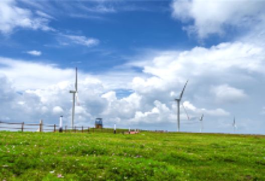 龙里油画大草原景点图片