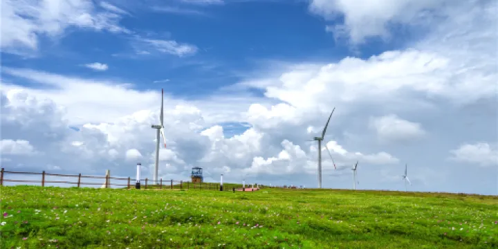 龍裡油畫大草原