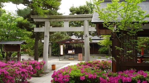 京都寺庙和神社的红印巡游的健行行程 有自由的票嵐電1天 英语口译导游同行线路推荐 携程玩乐 京都寺庙和神社的红印巡游的健行行程 有自由的票嵐電1天 英语口译导游同行线路推荐 携程玩乐