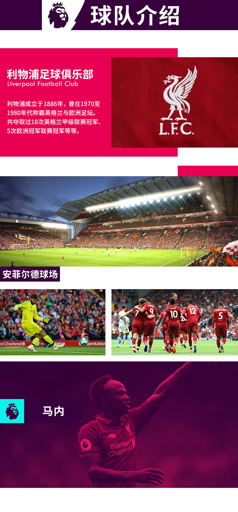 英国利物浦2018-2019年英超足球联赛利物浦主