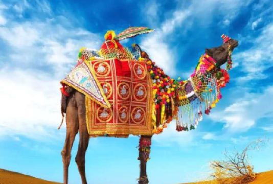 【沈阳起止】库伦旗银沙湾沙漠一日游*请下单前咨询是否发团【本产品有2个套餐：（1）套餐A：不含餐；（2）套餐B：含餐（盒饭）】