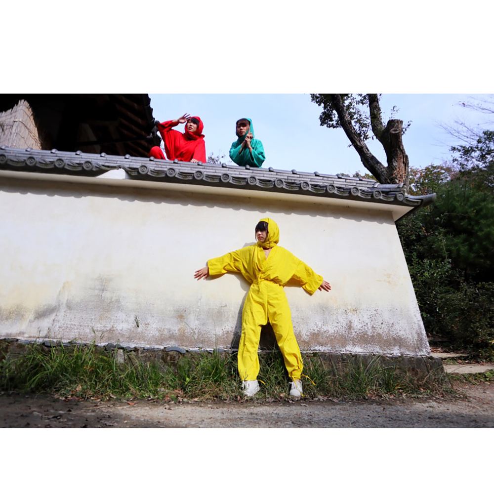 奈良一日游 奈良公園散策猿澤池 福興五重塔甲賀忍者村中文服務 线路推荐 携程玩乐