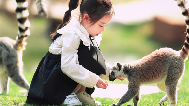 南通森林野生动物园