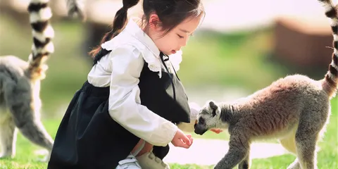 南通森林野生動物園