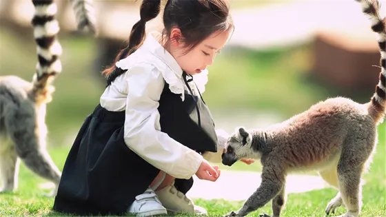 南通森林野生動物園
