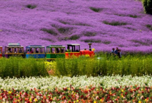 东方年华景点图片