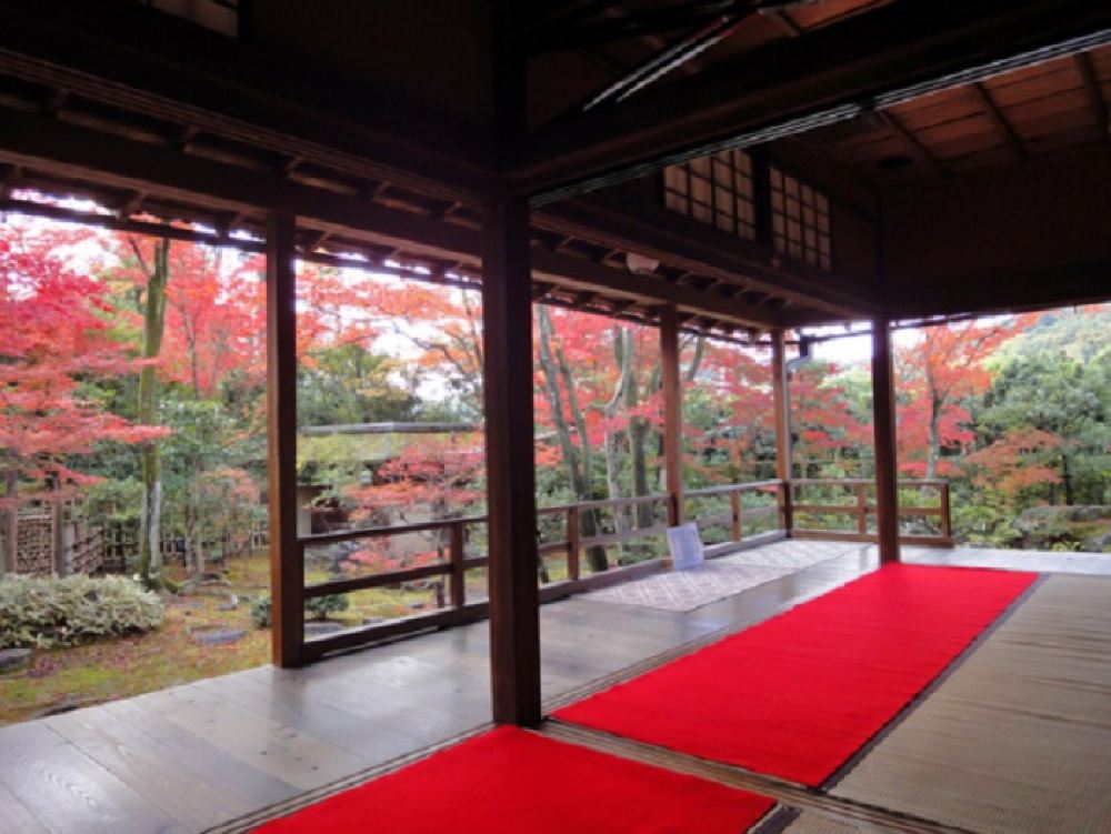 京都赏枫限定 妙心寺塔头大法院 红叶露地庭园特别参观 京料理午餐飨宴 11 1 11 30限定 附抹茶与甜品 线路推荐 携程玩乐