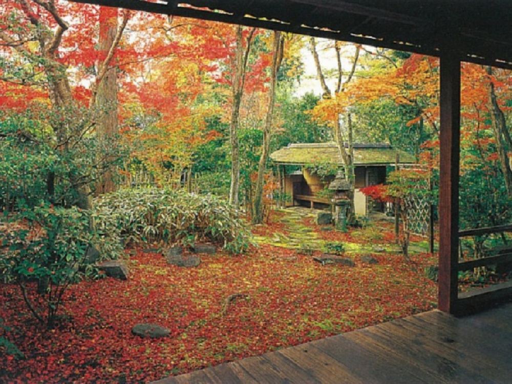 京都赏枫限定 妙心寺塔头大法院 红叶露地庭园特别参观 京料理午餐飨宴 11 1 11 30限定 附抹茶与甜品 线路推荐 携程玩乐