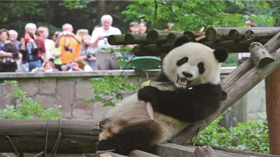 重慶動物園