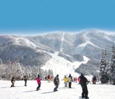 胜山果酱滑雪场-胜山市