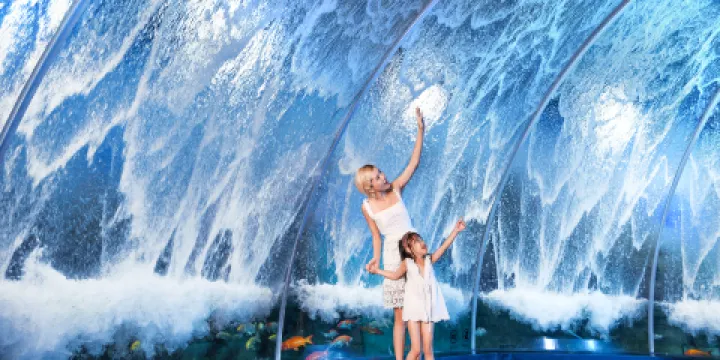 正佳極地海洋世界