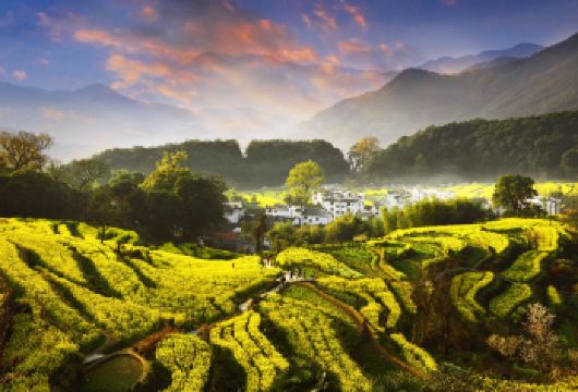 婺源包车一日游【东线  当地司机 随走随停】【中途不增加费用/不进店/游玩时间不受限制/纯玩】