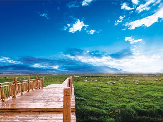 茶卡壹号·盐湖景区