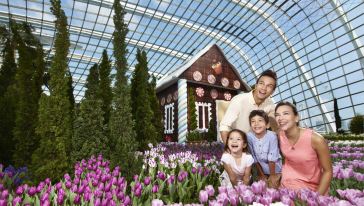 滨海湾花园 - Gardens_Flower Dome_FlowerField_Panasian_Family 1_meitu_6