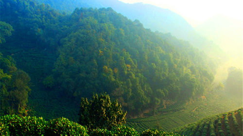 福州青芝山+琅岐岛+闽江一日游线路推荐【携