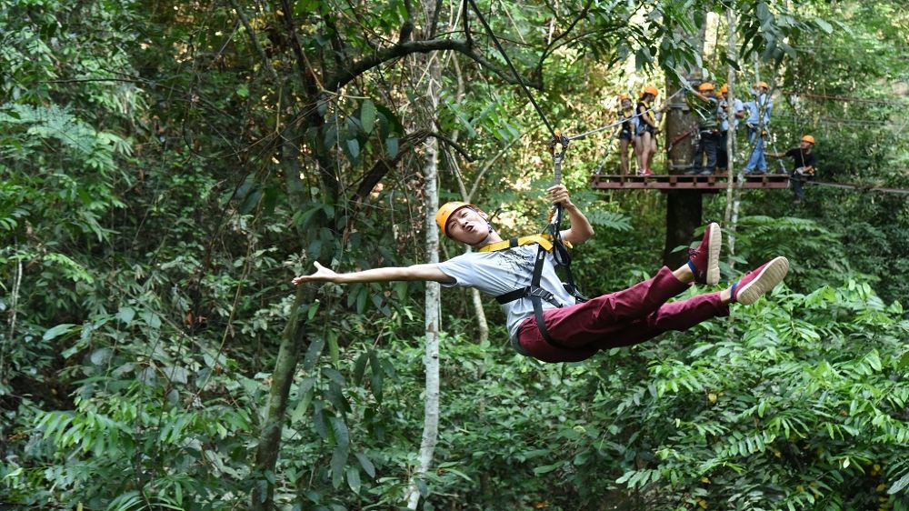 云南西双版纳原始森林公园一日游【丛林飞跃探险 纯玩无购物】