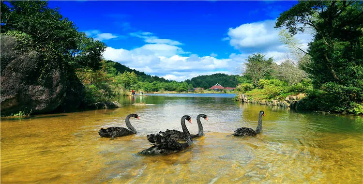 永安旅遊