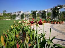 宁波植物园-宁波-C-IMAGE