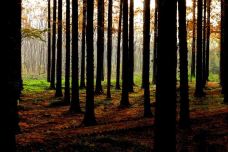 宝应湖国家湿地公园-宝应-C-IMAGE