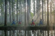 宝应湖国家湿地公园-宝应-C-IMAGE