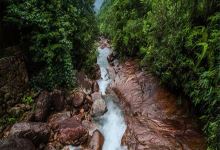 龙井山景点图片