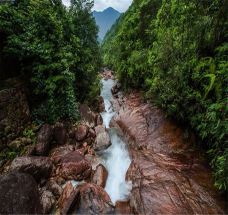 龙井山-武夷山-C-IMAGE