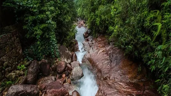 龍井山