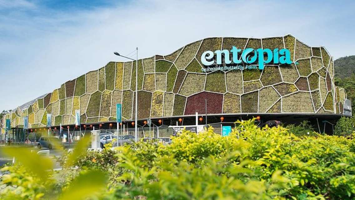 Penang City Tour With Entopia Butterfly Farm Admission Tickets