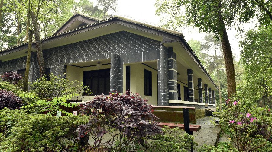 Gallery 3