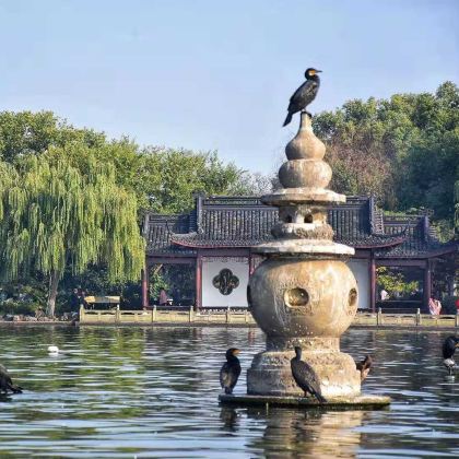 浙江杭州西湖风景名胜区+乌镇东栅景区+西溪国家湿地公园+西塘古镇2日1晚跟团游