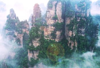 张家界国家森林公园一日游【核心景点精华全览+可选8/16人】【[品质专线]全新升级深度游，高分好评，服务，打卡核心网红景点——袁家界、百龙电梯、十里画廊、天子山。】