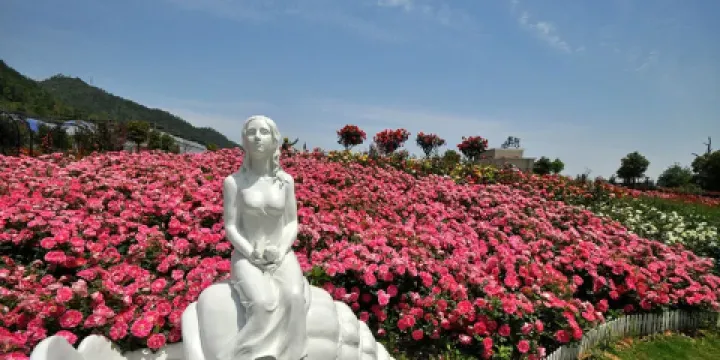 北侖麗盛玫瑰莊園