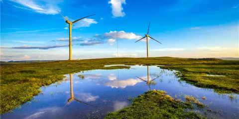 貴州龍裡大草原景區